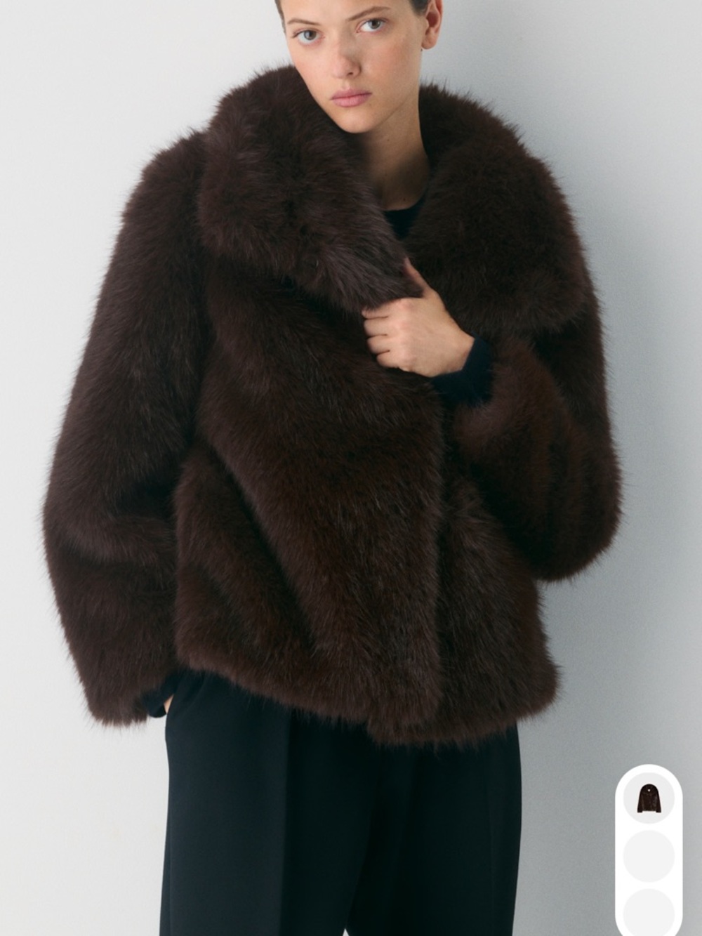 Aritzia St. Moritz Coat
